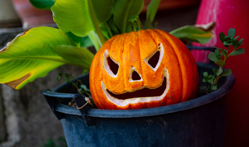 Halloween-Hosting-Inner-Garden.jpg